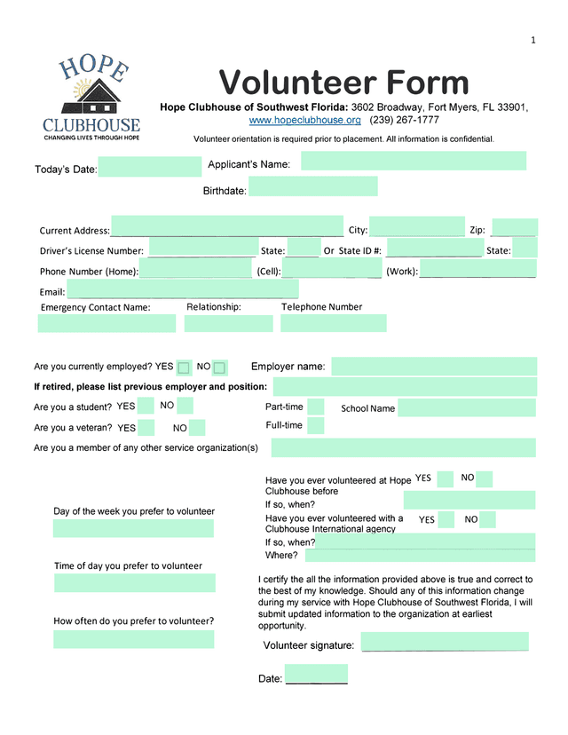 Volunteer Form screenshot
