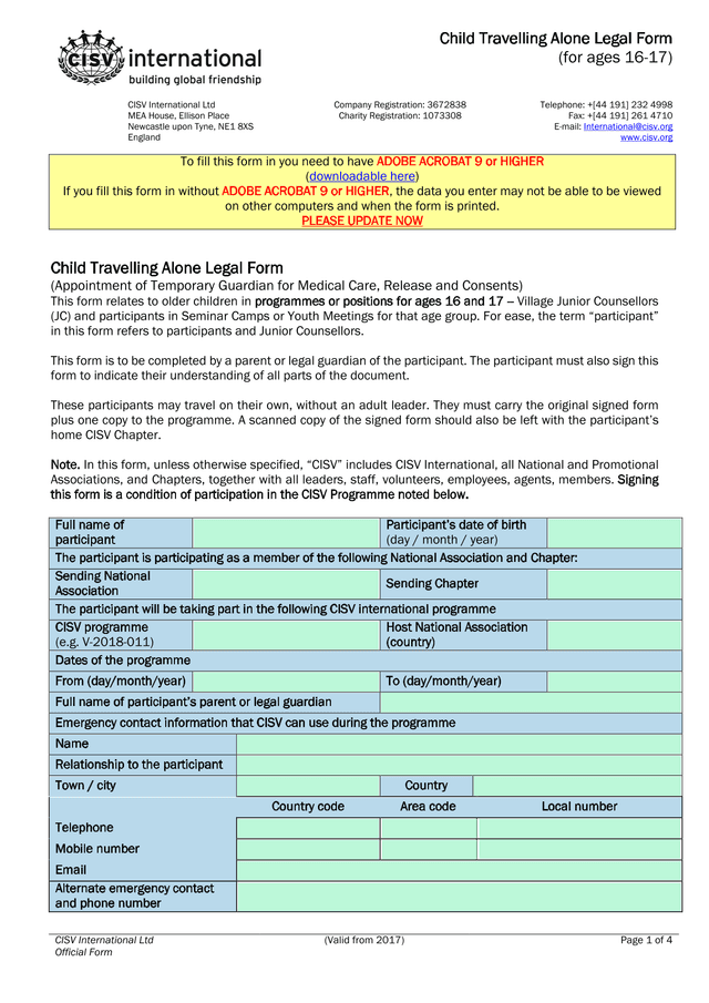 Child Travelling Alone Legal Form screenshot