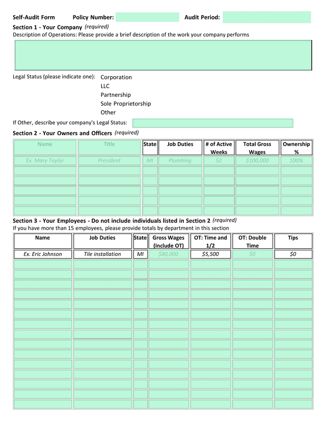 Self Audit Form screenshot