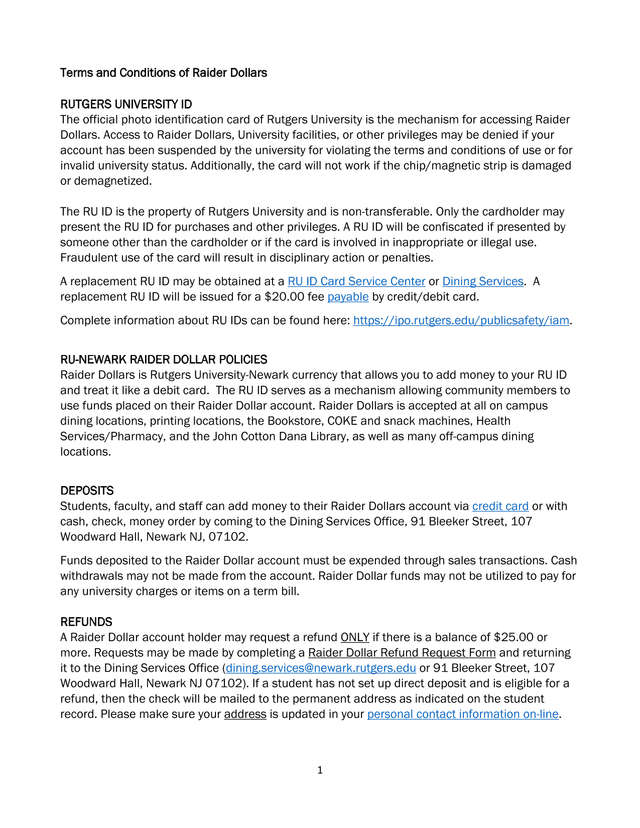 Terms And Conditions Of Raider Dollars screenshot
