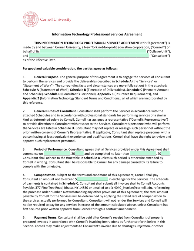 Information Technology Professional Services Agreement screenshot