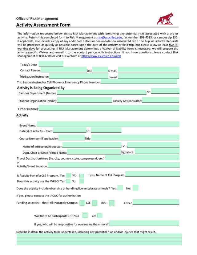 Activity Assessment Form screenshot