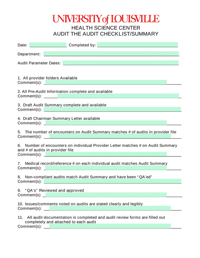 Audit The Audit ChecklistSummary screenshot
