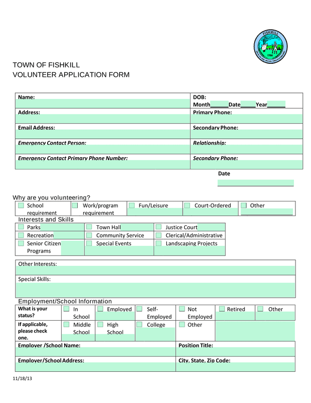 VOLUNTEER APPLICATION FORM screenshot