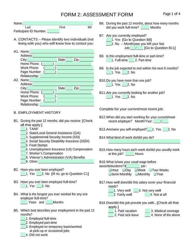 FORM 2 ASSESSMENT FORM screenshot