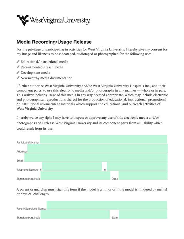 Media RecordingUsage Release screenshot