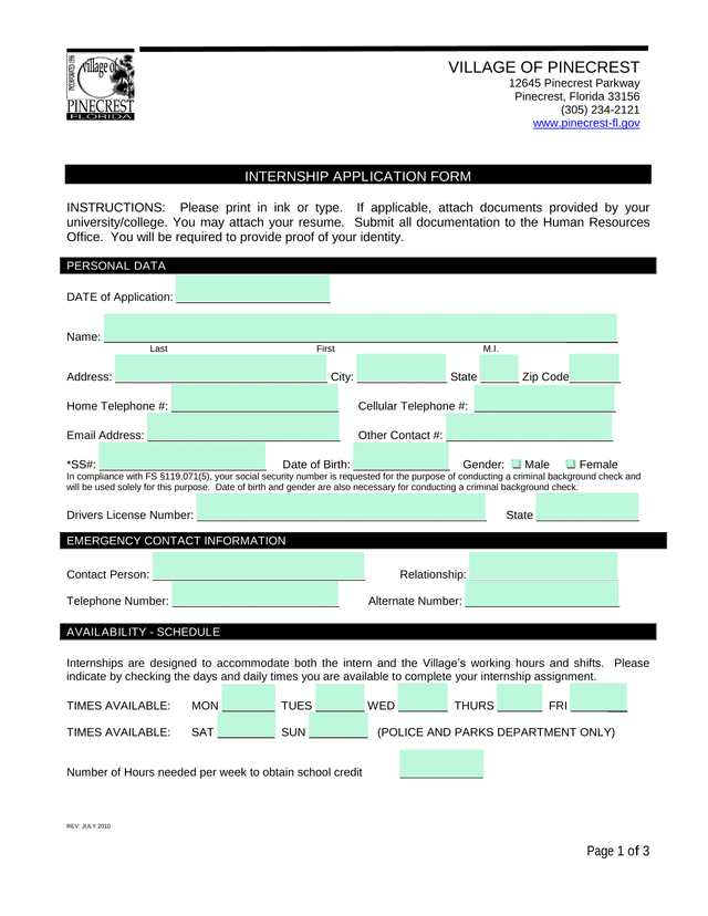 INTERNSHIP APPLICATION FORM screenshot