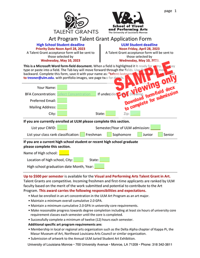 Art Program Talent Grant Application Form screenshot