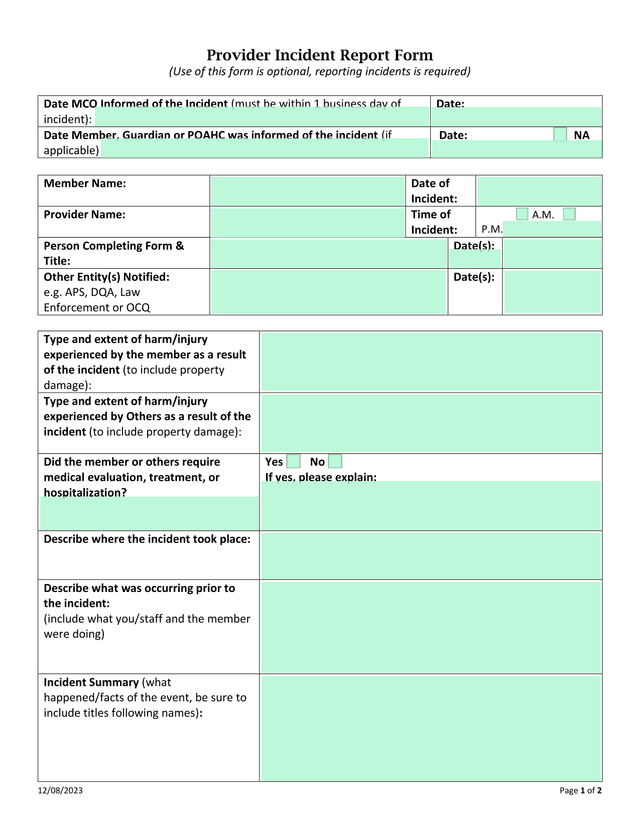Provider Incident Report Form screenshot
