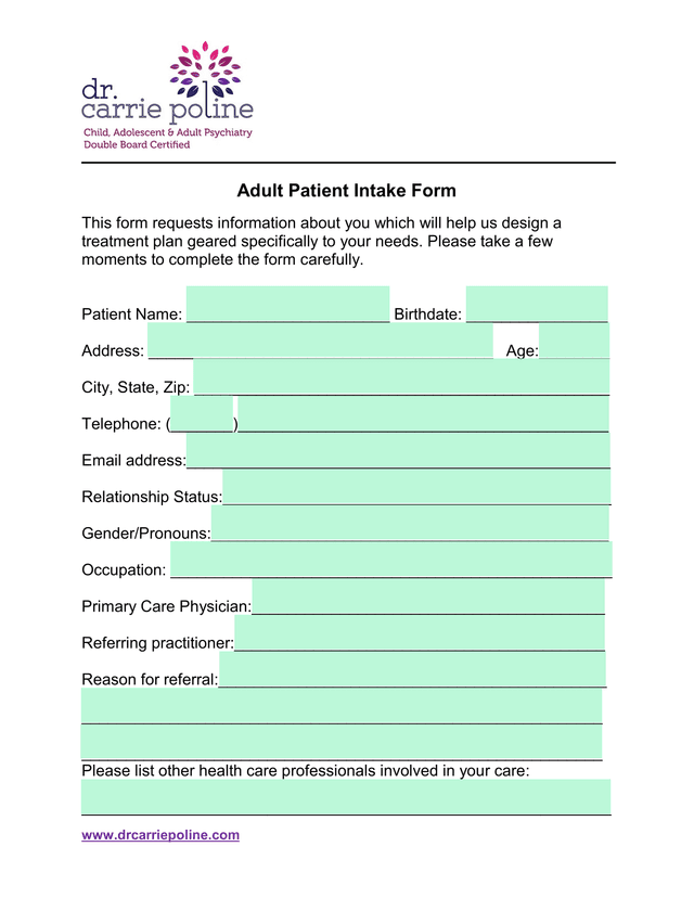Adult Patient Intake Form screenshot