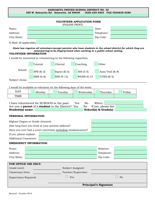 Volunteer Application Form screenshot