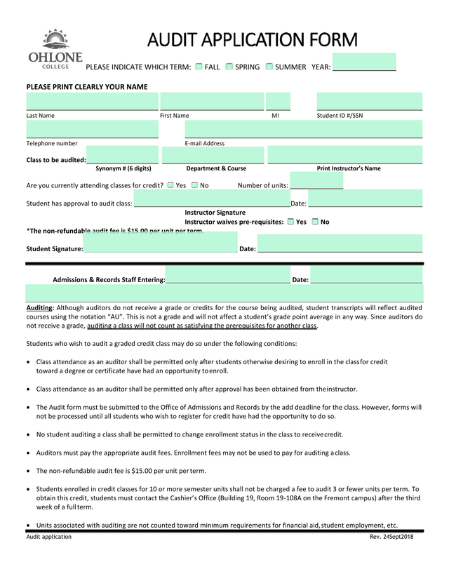 Audit Application Form screenshot