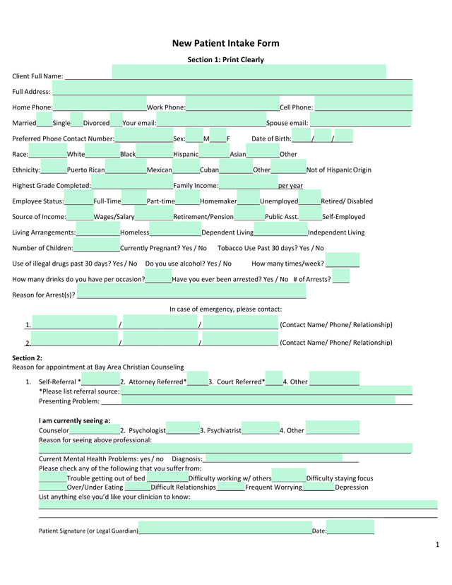 New Patient Intake Form screenshot