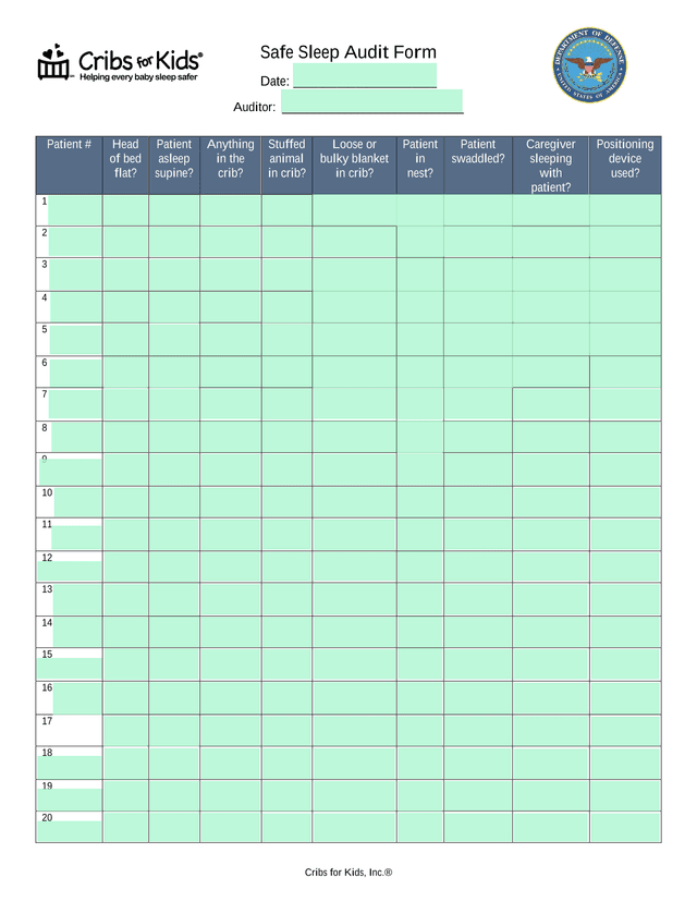 Safe Sleep Audit Form screenshot