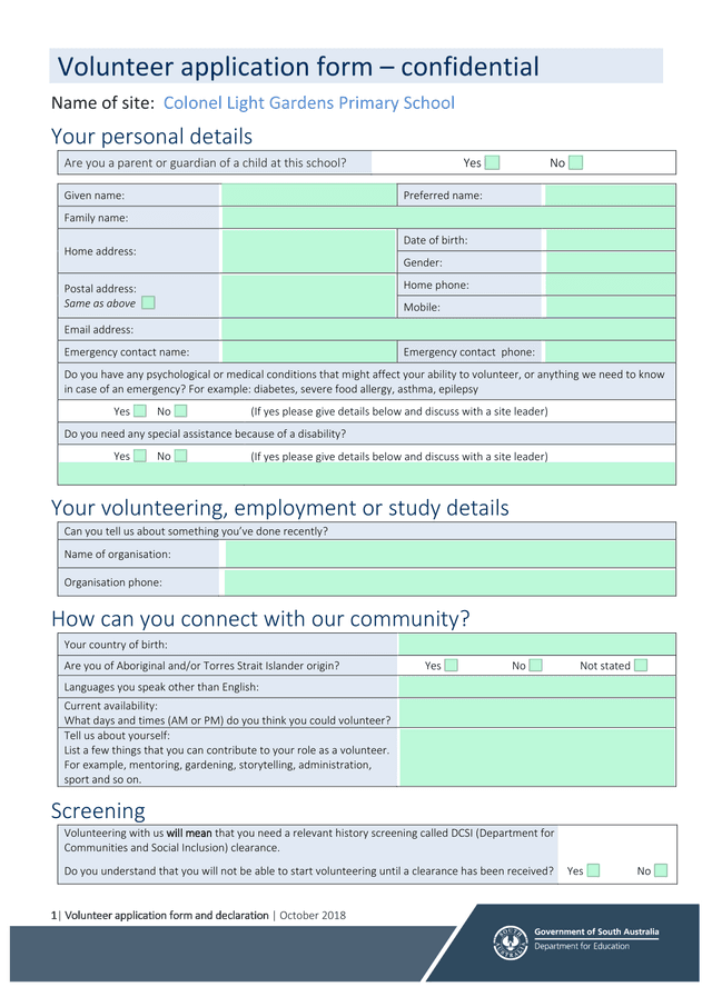 Volunteer Application Form screenshot