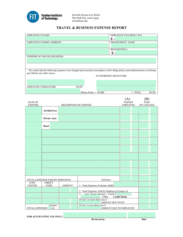 Travel  Business Expense Report screenshot