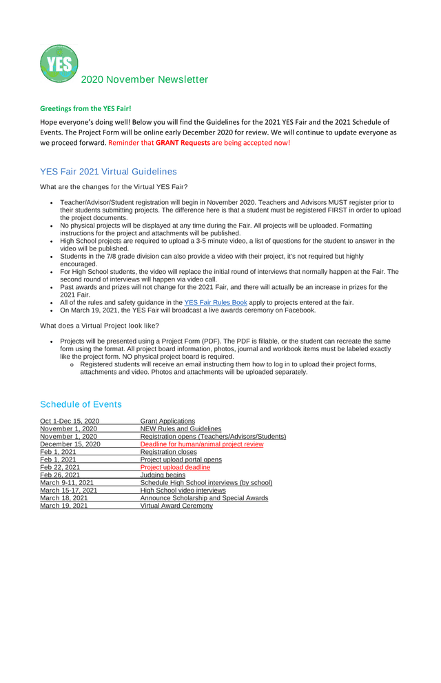 YES Fair 2021 Virtual Guidelines screenshot