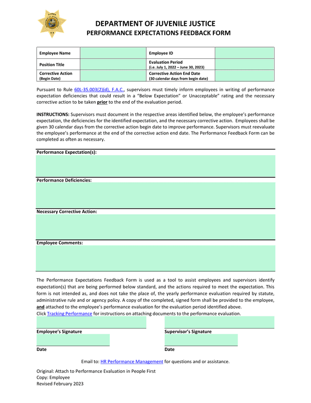 Performance Expectations Feedback Form screenshot
