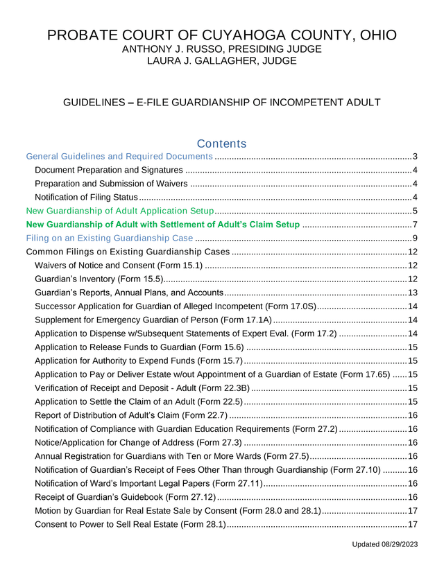 Guidelines  E File Guardianship Of Incompetent Adult screenshot