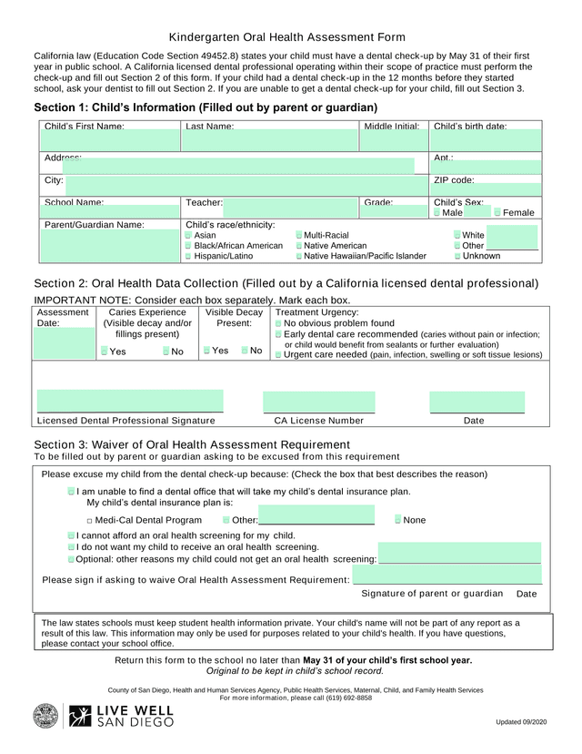 Kindergarten Oral Health Assessment Form screenshot