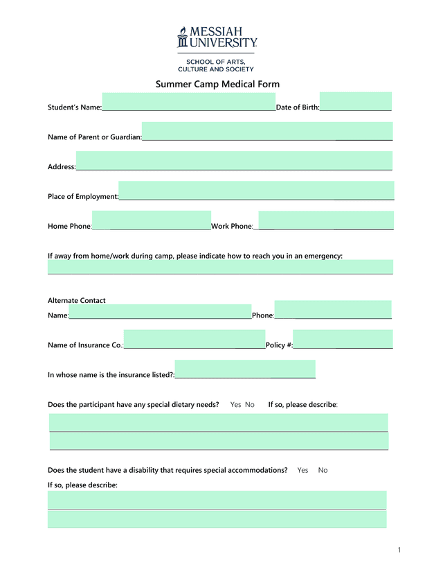 Summer Camp Medical Form screenshot