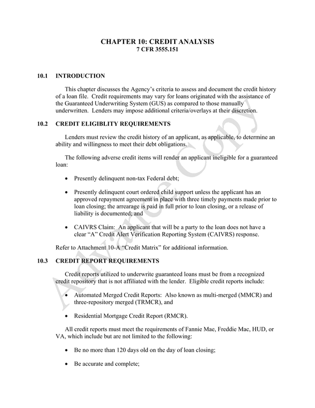 Credit Analysis Guidelines screenshot