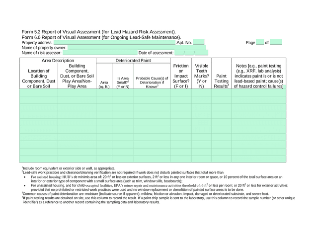 Form 5.26.0 Report Of Visual Assessment screenshot