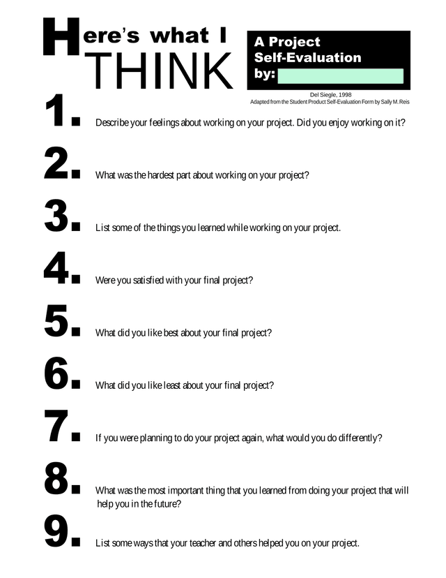 Student Project Self Evaluation Form screenshot