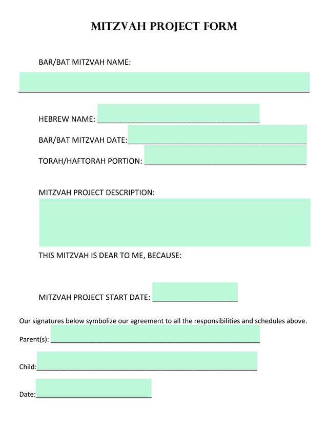 Mitzvah Project Form screenshot