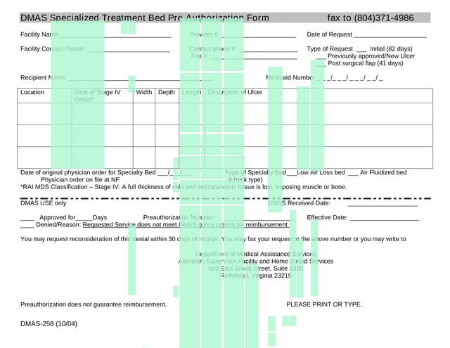 DMAS 258 Specialized Treatment Bed Pre Authorization Form screenshot