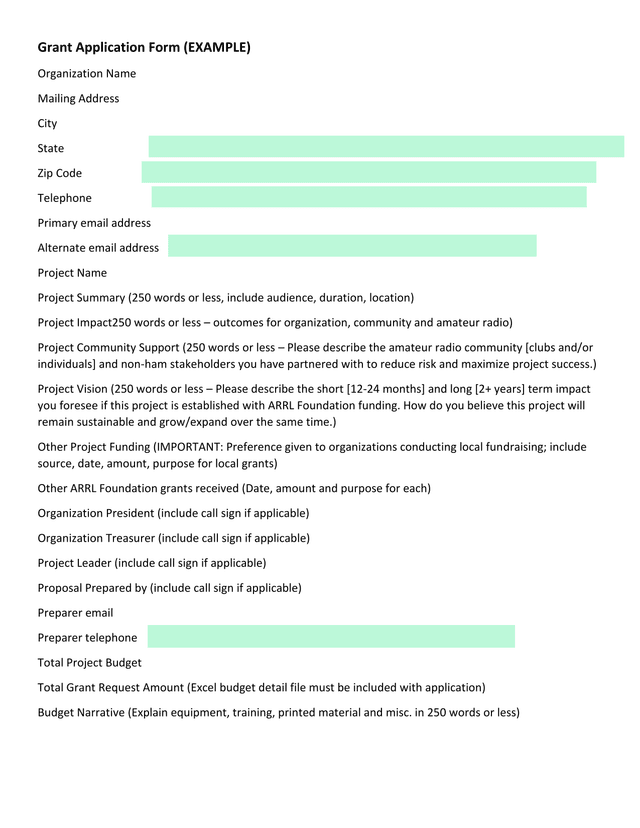 Grant Application Form (EXAMPLE) screenshot