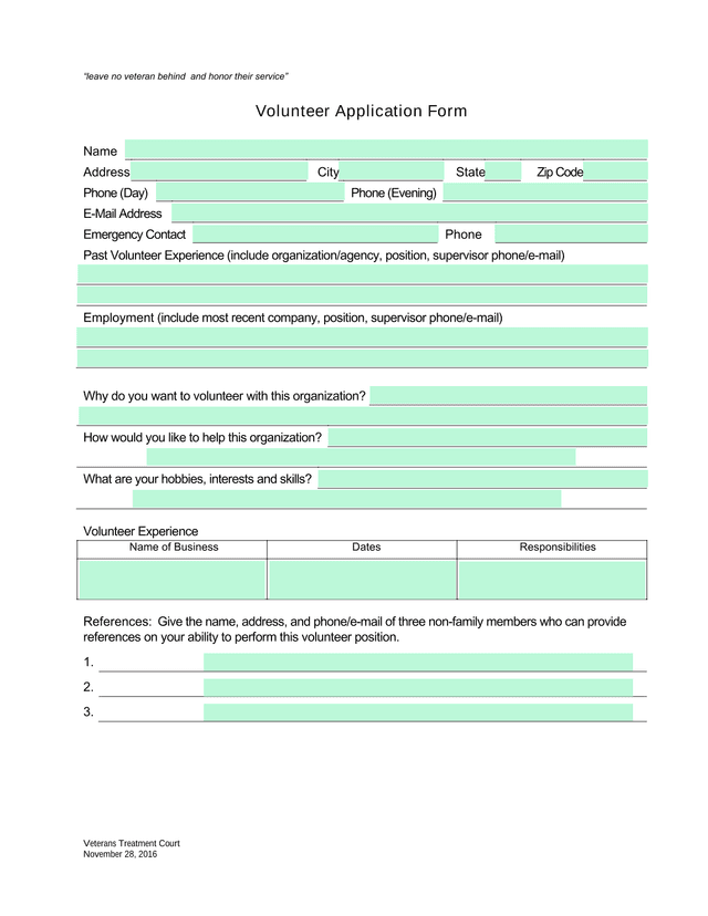 Volunteer Application Form screenshot