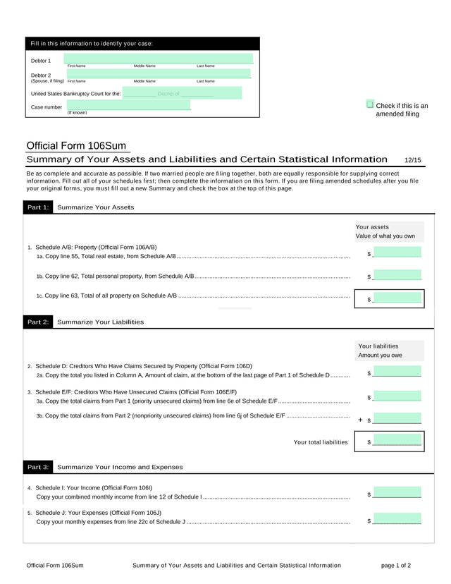 Official Form 106Sum Summary Of Your Assets And Liabilities And Certain Statistical Information screenshot