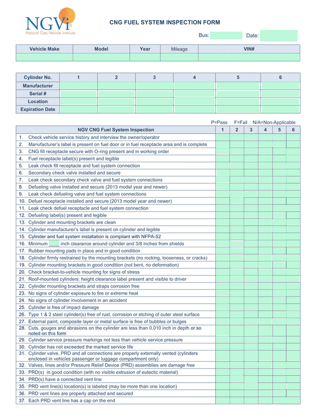 CNG Fuel System Inspection Form screenshot