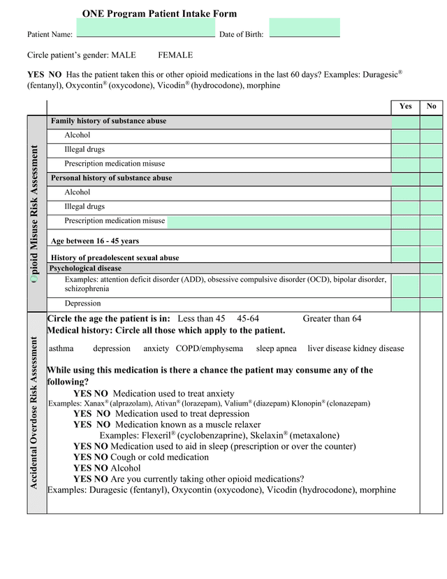 ONE Program Patient Intake Form screenshot