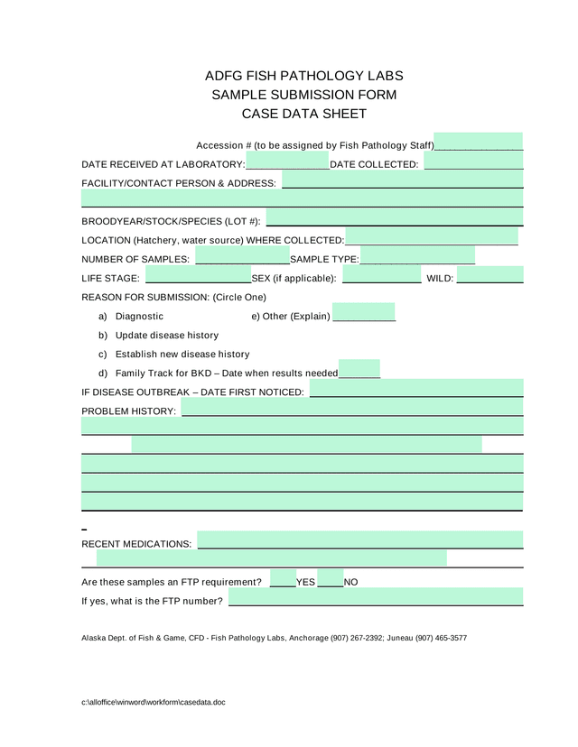 SAMPLE SUBMISSION FORM screenshot