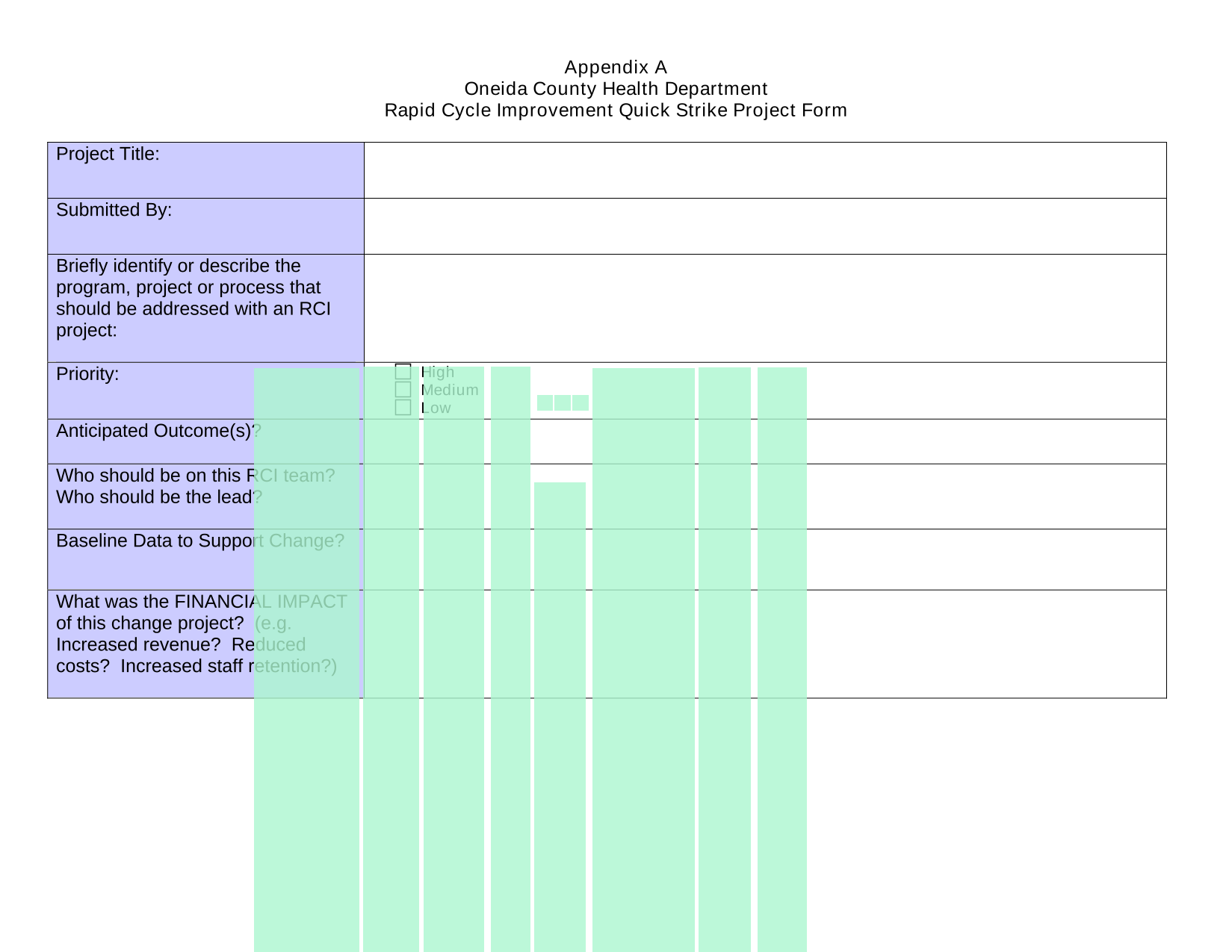 Rapid Cycle Improvement Quick Strike Project Form screenshot