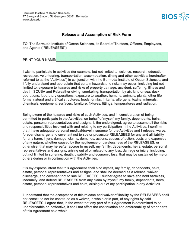 Release And Assumption Of Risk Form screenshot