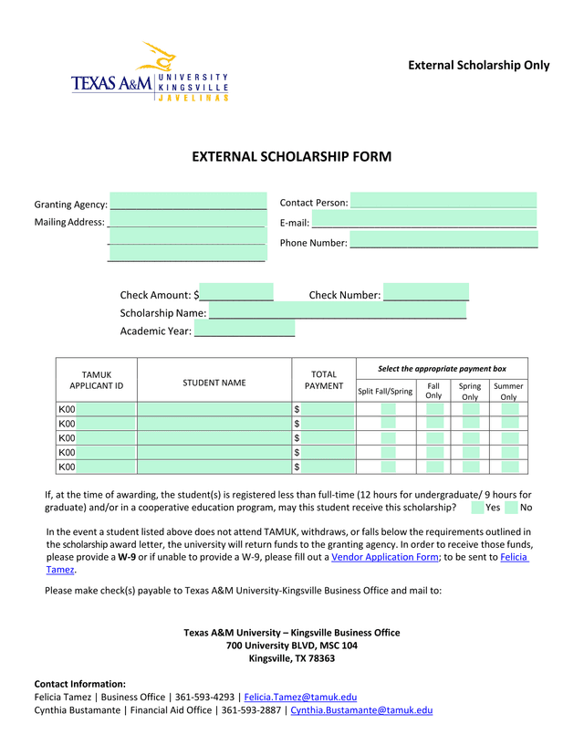 External Scholarship Form screenshot