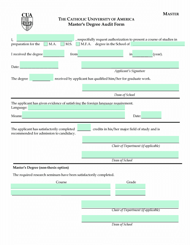 MasterS Degree Audit Form screenshot