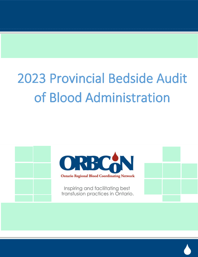 2023 Provincial Bedside Audit Of Blood Administration screenshot