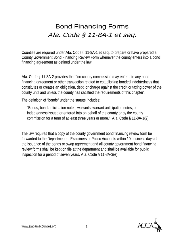 County Government Bond Financing Review Form screenshot