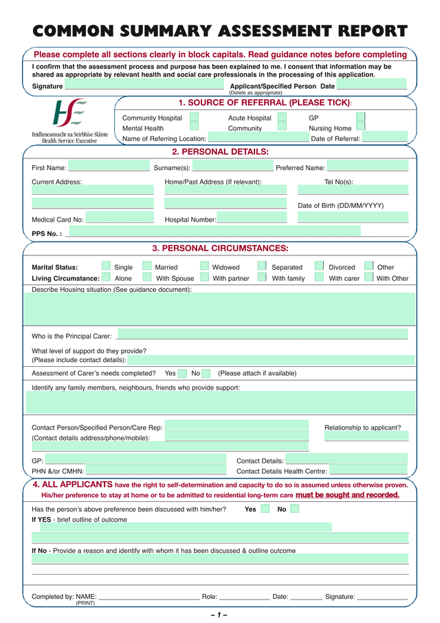Common Summary Assessment Report screenshot