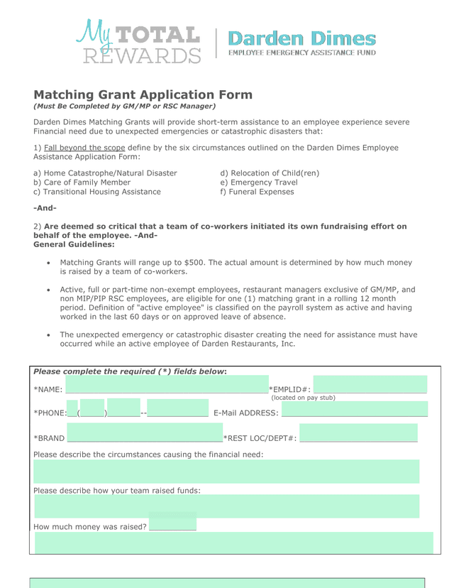 Matching Grant Application Form screenshot