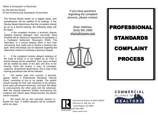 Professional Standards Complaint Process screenshot