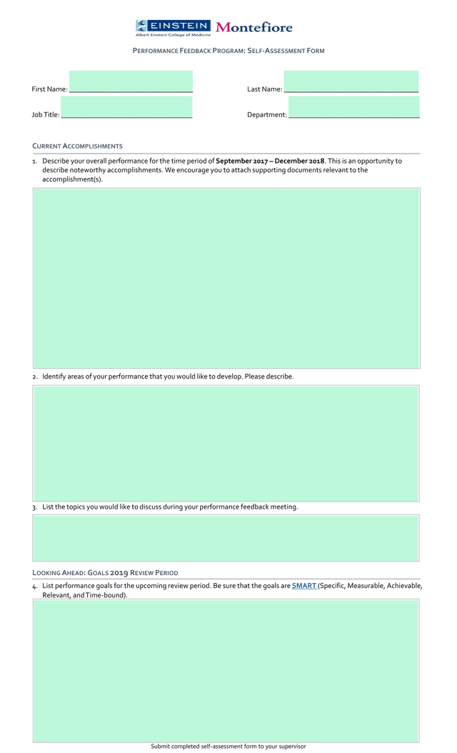 PERFORMANCE FEEDBACK PROGRAM SELF ASSESSMENT FORM screenshot