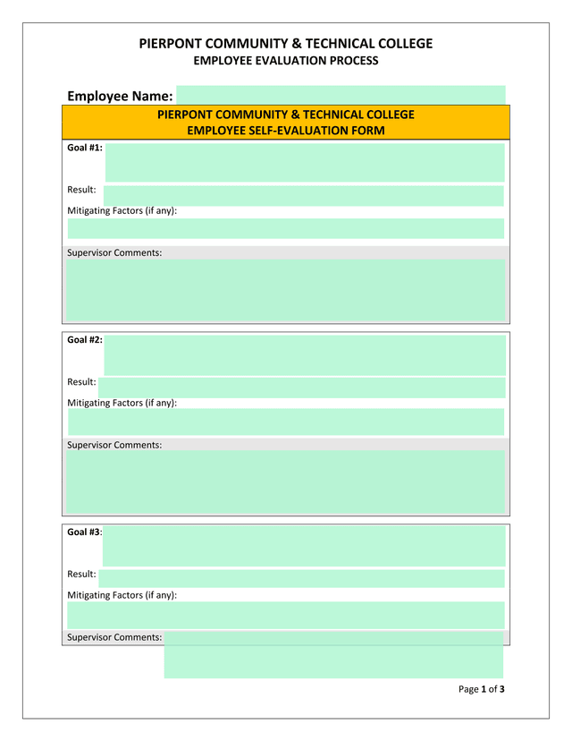 EMPLOYEE EVALUATION PROCESS screenshot