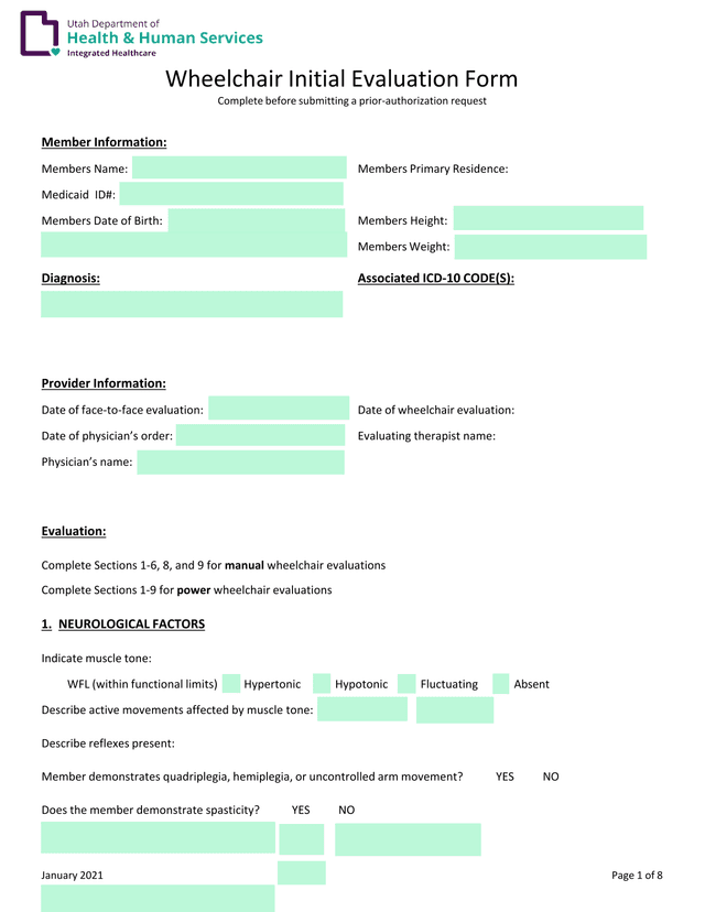 Wheelchair Initial Evaluation Form screenshot