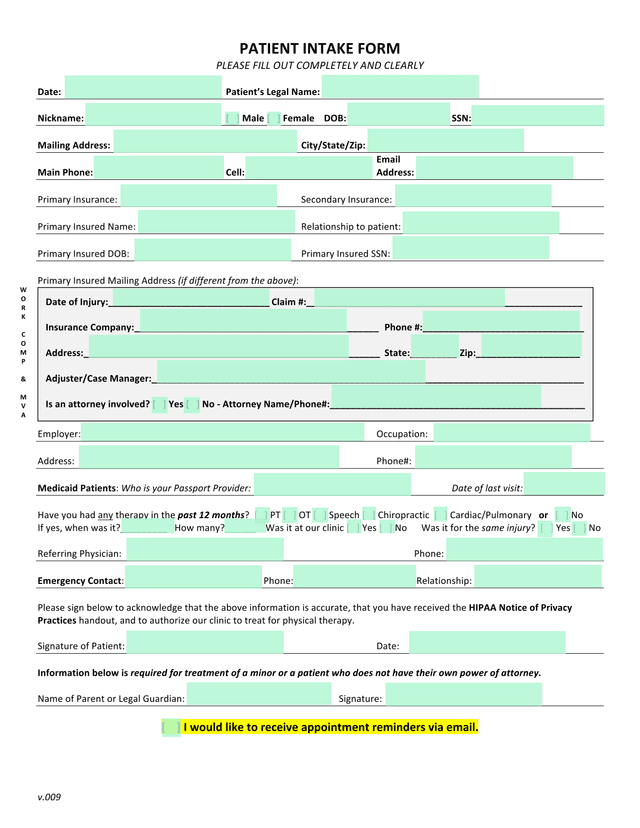 PATIENT INTAKE FORM screenshot