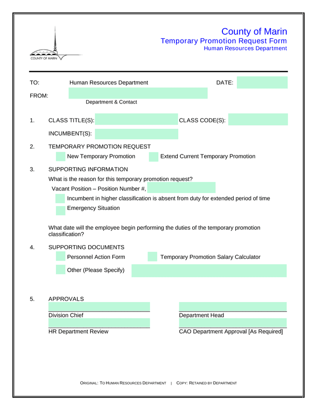 Temporary Promotion Request Form screenshot
